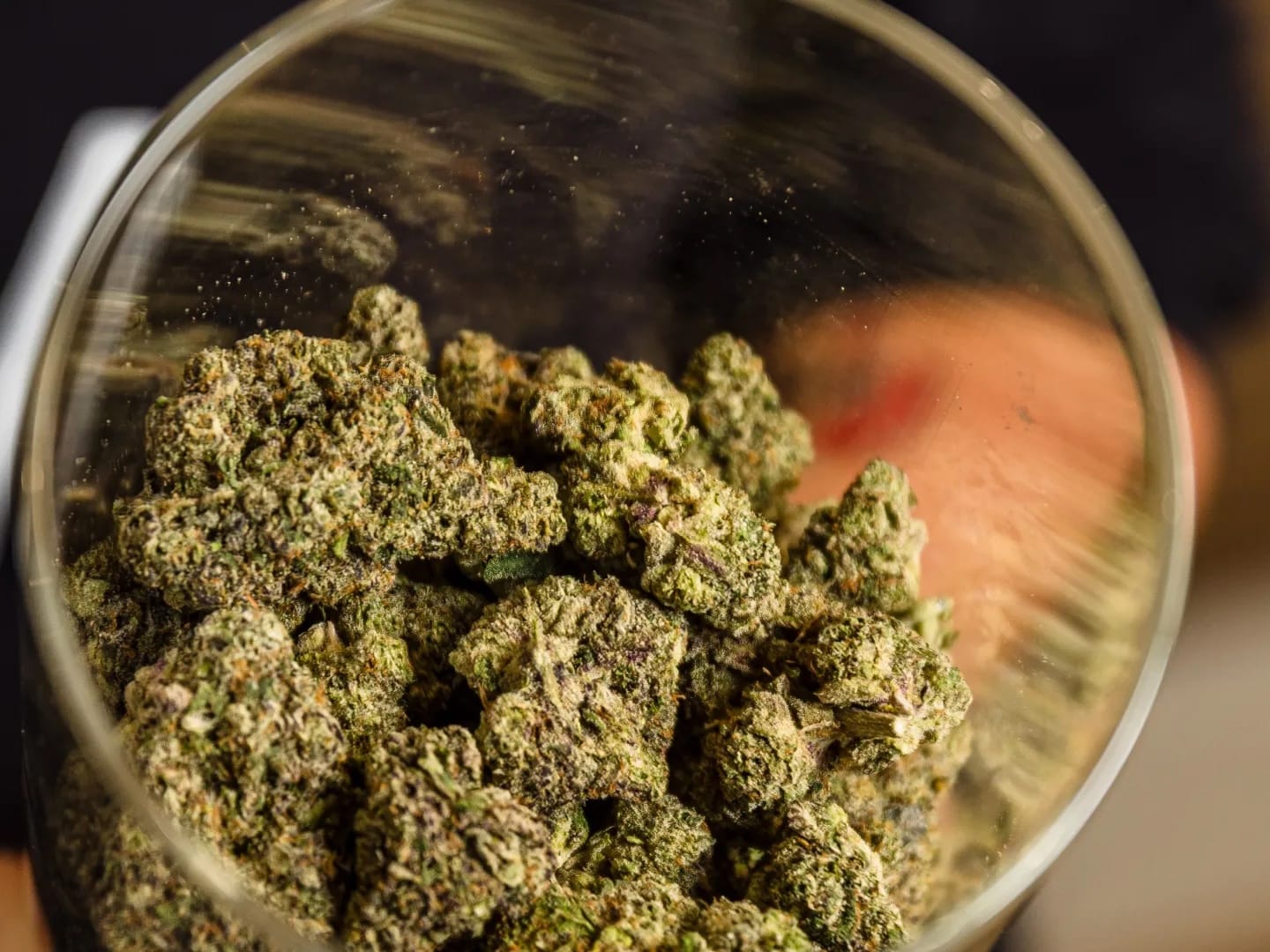 LIV Cannabis cannabis delivery