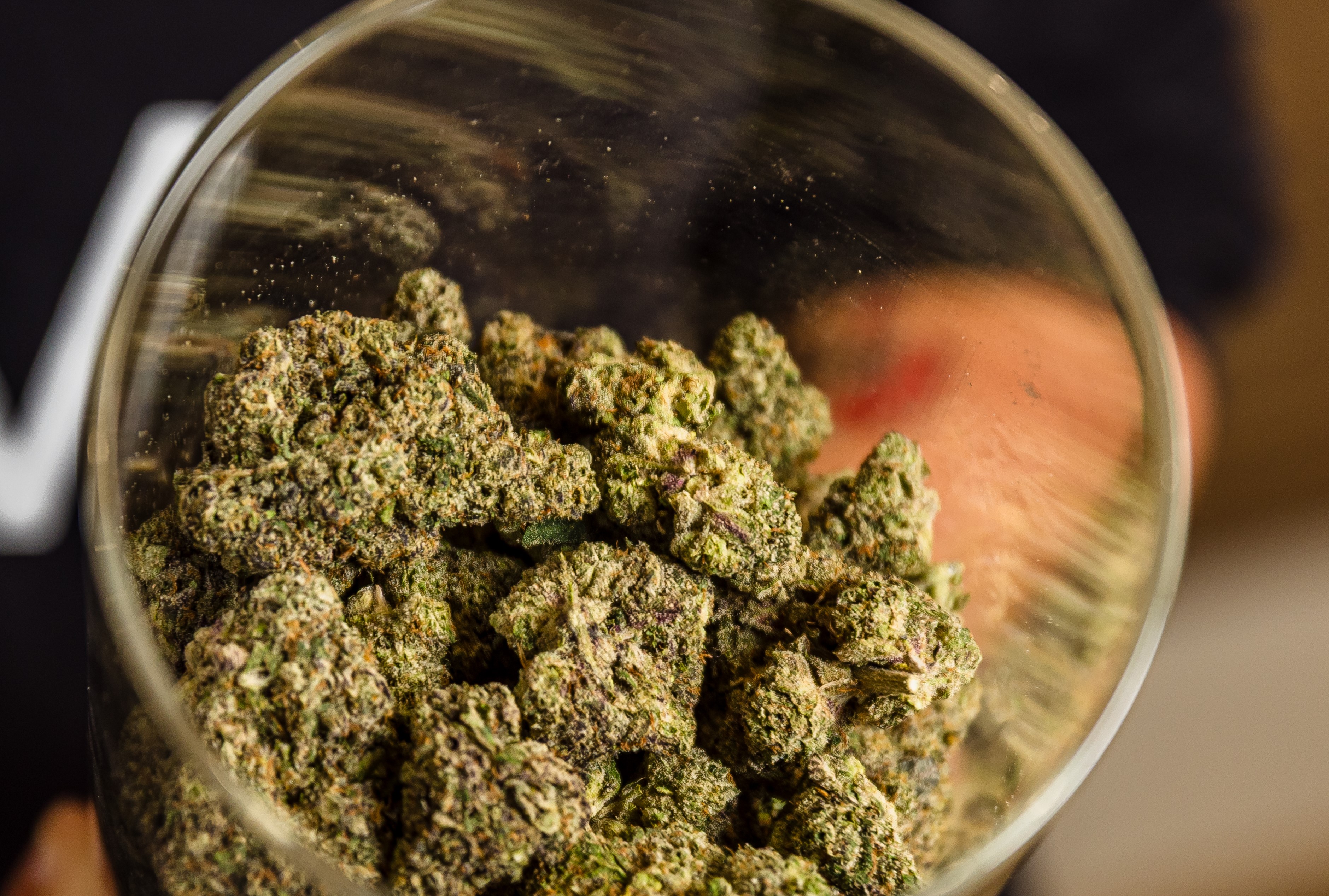 LIV Cannabis cannabis delivery