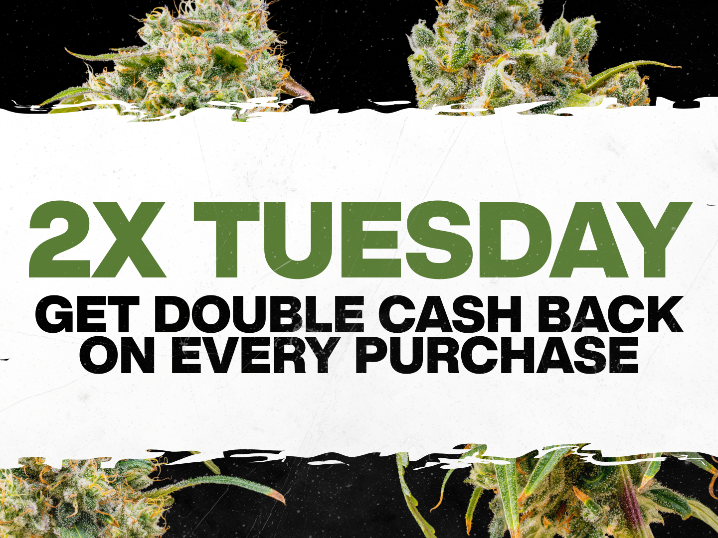 LIV Cannabis cannabis delivery