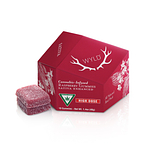 Raspberry Gummies | 10x20mg | 200mg by Wyld