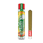 Apples And Bananas Infused Pre-Roll XL | 2g by Jeeter