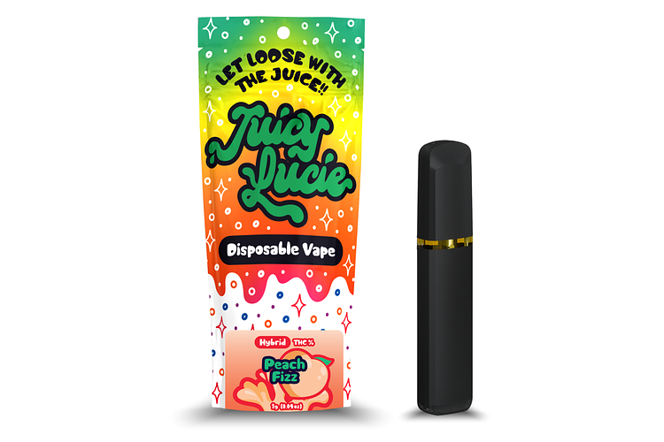 Peach Fizz Disposable Vape | 1g by Juicy Lucie