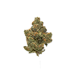 The Runtz Bulk Flower by Society C