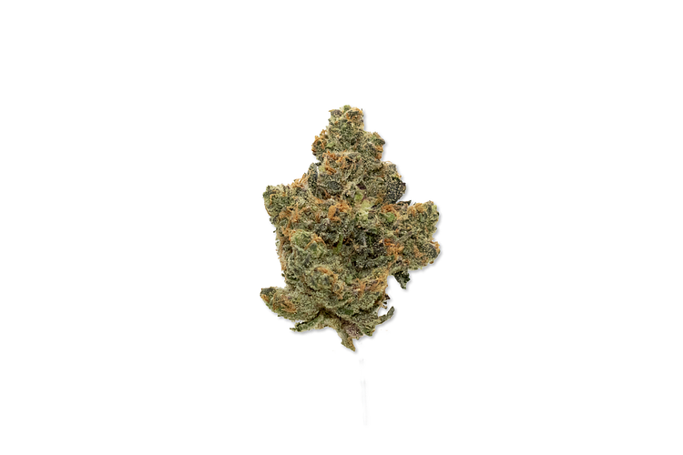 The Runtz Bulk Flower by Society C