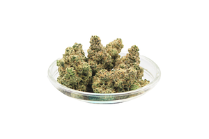 Banana Puddintaine Bulk Flower by Kai Cannabis