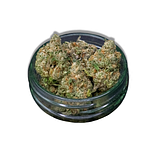 Project Z Bulk Flower by Society C