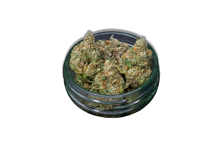 Project Z Bulk Flower by Society C