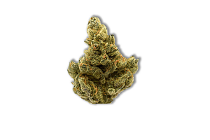 OG Cookies Bulk Flower by Common Citizen