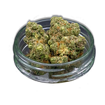 Limecai Bulk Flower by Common Citizen