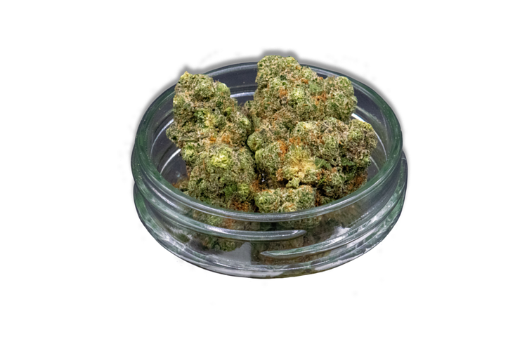 Limecai Bulk Flower by Common Citizen