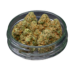 G13 Bulk Flower by Common Citizen