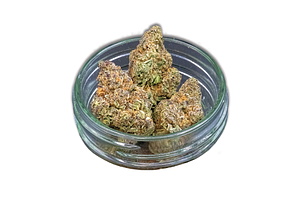 Animal Sorbet Kush Mints Bulk Flower by Common Citizen