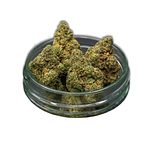 Motor Cake Bulk Flower by Common Citizen