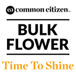Glue Cheese Bulk Flower (Smalls) by Common Citizen