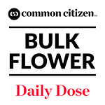 Common Citizen | Diamond Bar Bulk Flower (Smalls) by Common Citizen