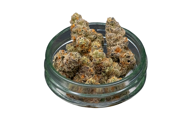 Glitter Bomb Bulk Flower by Common Citizen