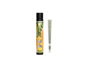 B-41 Pre-Roll | 1g by Michigander Fire
