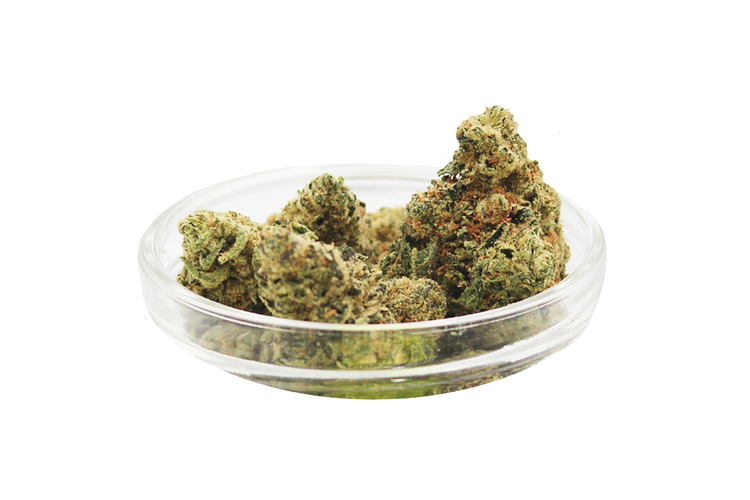 Dat Big Nasty Bulk Flower by Glorious Cannabis Co.