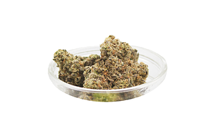 Grandpas Rpg Bulk Flower by Glorious Cannabis Co.