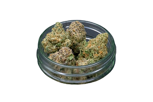 Scoops Bulk Flower by Common Citizen