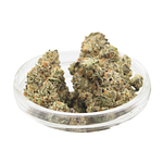 Glitter Bomb x Sweet Tea Bulk Flower by Glorious Cannabis Co.
