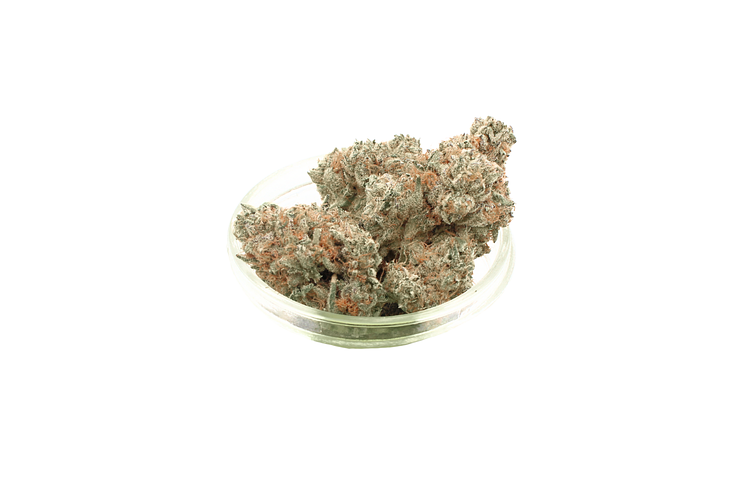 Doghouse | Gratiot Gold Bulk Flower by DogHouse