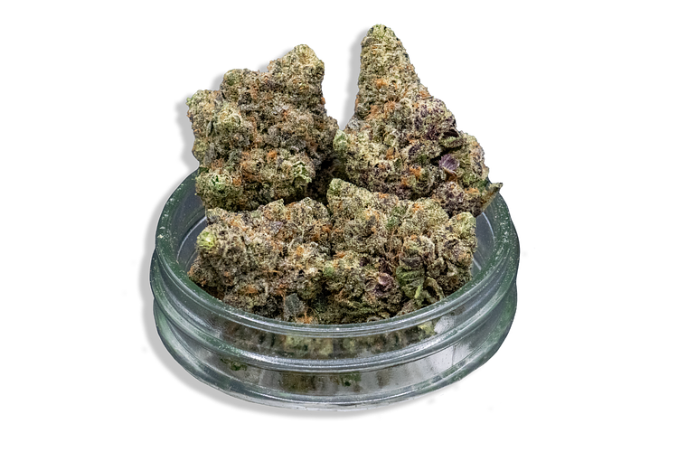Common Citizen | Demon King Bulk Flower by Common Citizen