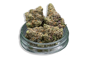 Common Citizen | Demon King Bulk Flower by Common Citizen