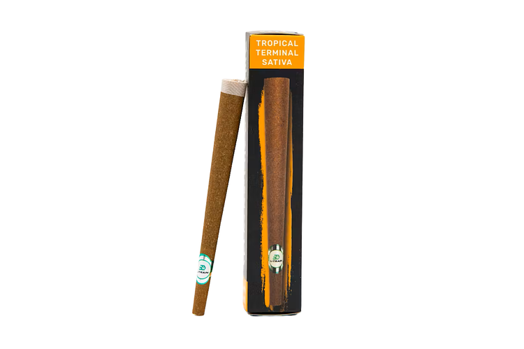L-Train | Tropical Terminal Triple Infused Blunt | 2g by L-Train