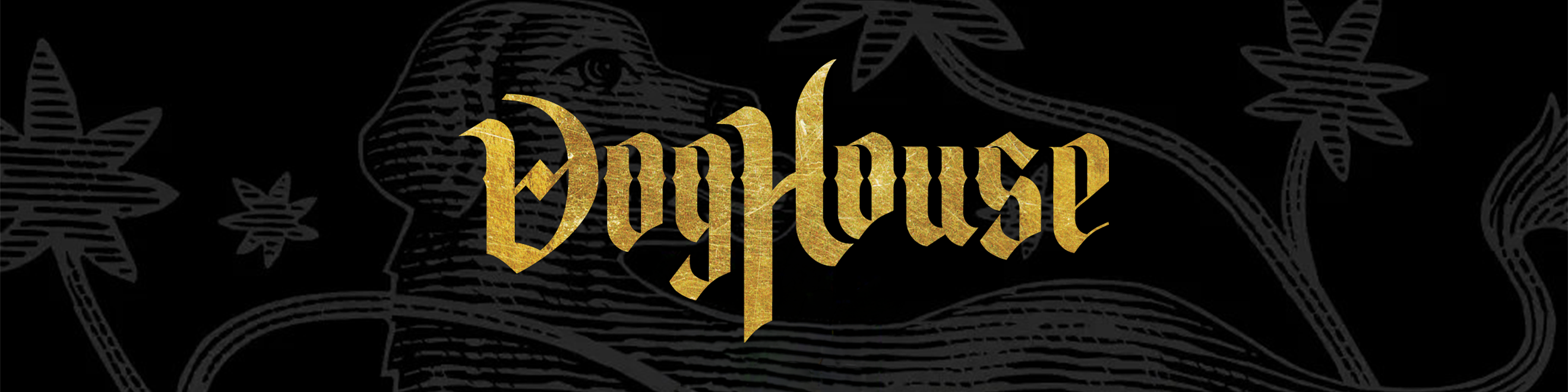 DogHouse Cover Image
