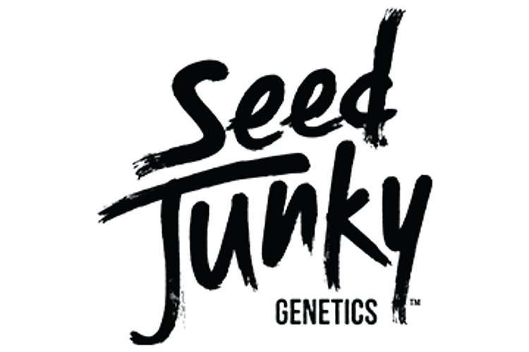 Seed Junky | Permanent Paradize Bubble Hash Infused Cannon | 2g by Seed Junky