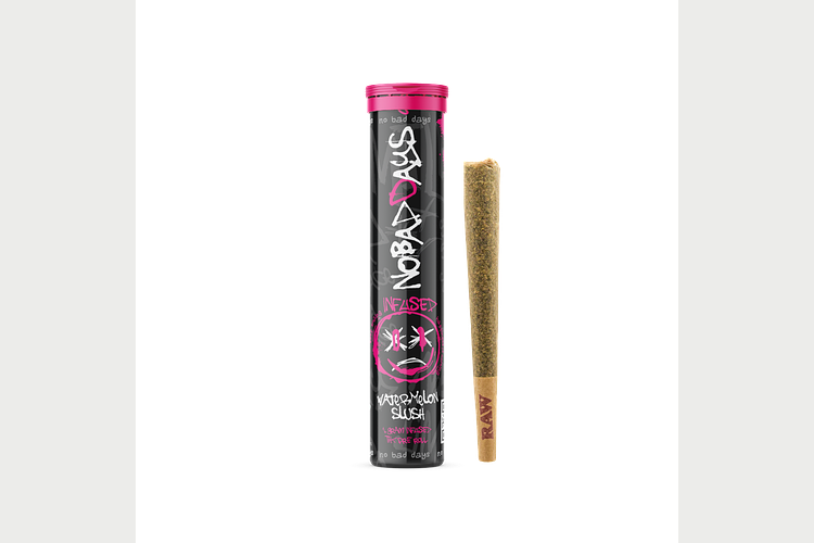 Watermelon Slush Infused Pre-Roll | 1.2g by No Bad Days
