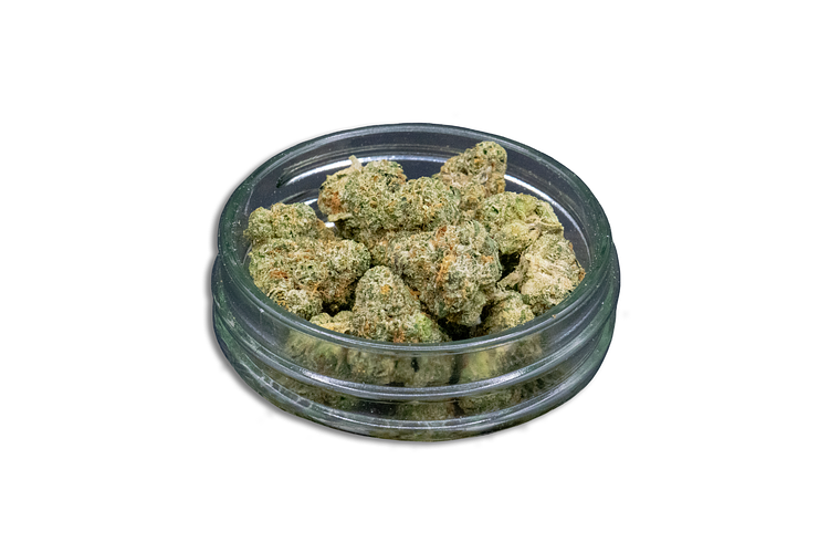 Jelly Jam Bulk Flower (Smalls) by Common Citizen