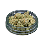 Jelly Jam Bulk Flower (Smalls) by Common Citizen