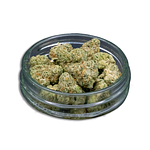 Jelly Jam Bulk Flower (Smalls) by Common Citizen