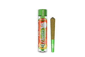 Orange Daiquiri Infused Pre-Roll | 1g by Jeeter