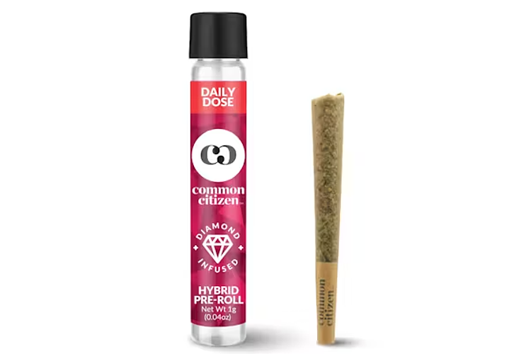 Z Lato Infused Pre-Roll | 1g by Common Citizen