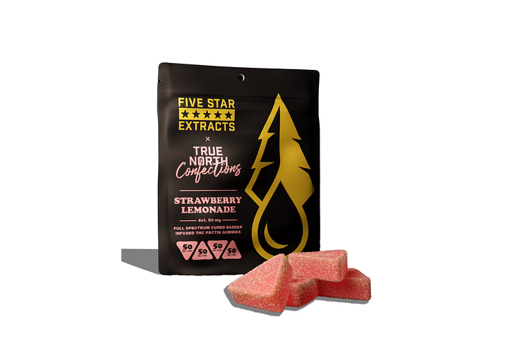 Strawberry Lemonade Full Spectrum Gummies | 4x50mg | 200mg by Five Star Extracts