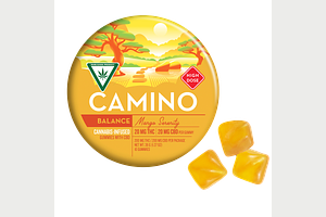 Mango Gummies | 20:20 THC:CBD | 200mg by Camino