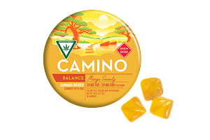 Mango Gummies | 20:20 THC:CBD | 200mg by Camino
