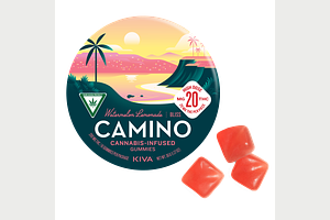 Watermelon Lemonade Gummies | 10x20mg | 200mg by Camino