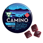 Midnight Blueberry Gummies | 20:4 THC:CBN | 200mg by Camino