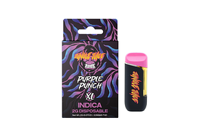 Purple Punch Disposable Vape | 2g by Jungle Juice