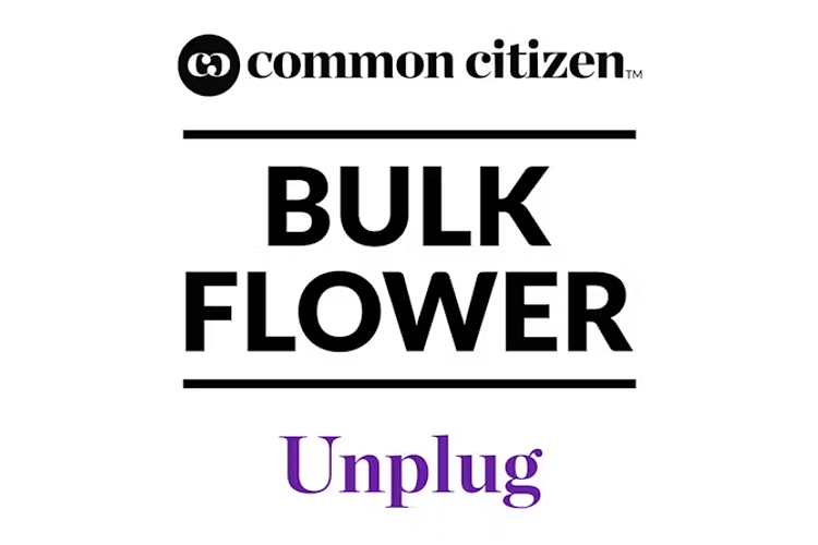 Motor Cake Bulk Flower by Common Citizen