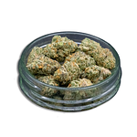 Scoops Bulk Flower (Smalls) by Common Citizen