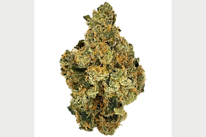 Glorious | Terpee Slurpee Bulk Flower by Glorious Cannabis Co.