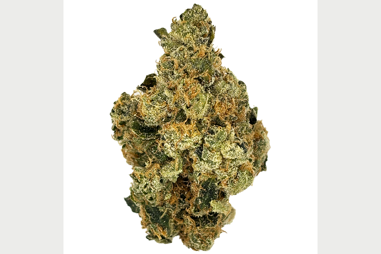 Glorious | Terpee Slurpee Bulk Flower by Glorious Cannabis Co.