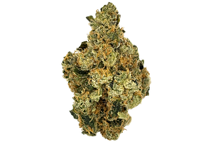Glorious | Terpee Slurpee Bulk Flower by Glorious Cannabis Co.