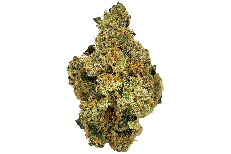 Glorious | Terpee Slurpee Bulk Flower by Glorious Cannabis Co.