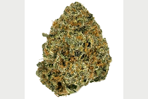 Common Citizen | Death Star Bulk Flower by Common Citizen